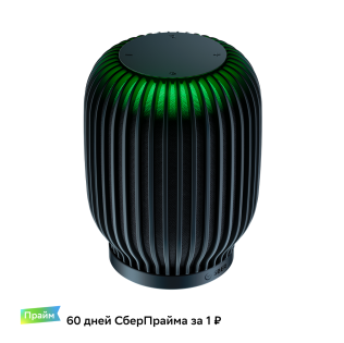 Акустическая система серии SberBoom модели SBDV-00090, цвет черный, торговой марки SBER Сбердевайсы