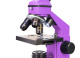 (RU) Микроскоп Levenhuk Rainbow 2L PLUS Amethyst\Аметист