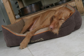 SCRUFFS Лежак для животных с бортиками "Thermal Box Bed", коричневый, 75х60х19см (Великобритания)