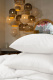 281825070 Постельное белье Arctic White Brilliant Grass Семейный