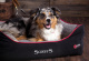 SCRUFFS Лежак для животных с бортиками "Thermal Box Bed", черный, 75х60х19см (Великобритания)
