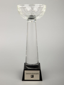 Кубок Cupture, большой