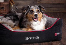 SCRUFFS Лежак для животных с бортиками "Thermal Box Bed", черный, 90х70х21см (Великобритания)