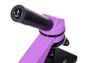 (RU) Микроскоп Levenhuk Rainbow 2L Amethyst\Аметист