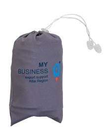 MY Business_Altai
