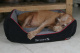 SCRUFFS Лежак для животных с бортиками "Thermal Box Bed", черный, 90х70х21см (Великобритания)