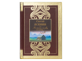 Набор книг Шкаф мудрости (коричневый, прозрачный, черный, золотистый)