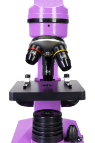 (RU) Микроскоп Levenhuk Rainbow 2L Amethyst\Аметист