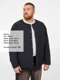 Куртка унисекс Veter, серая