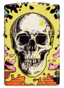 Зажигалка ZIPPO Skull Design с покрытием Glow In The Dark Green,латунь/сталь,разноцветная38x13x57 мм