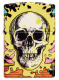 Зажигалка ZIPPO Skull Design с покрытием Glow In The Dark Green,латунь/сталь,разноцветная38x13x57 мм