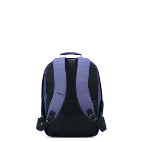 Рюкзак для ноутбука DELSEY SECURBAN 29.5 x 45,5 x 16.5 см Синий принт